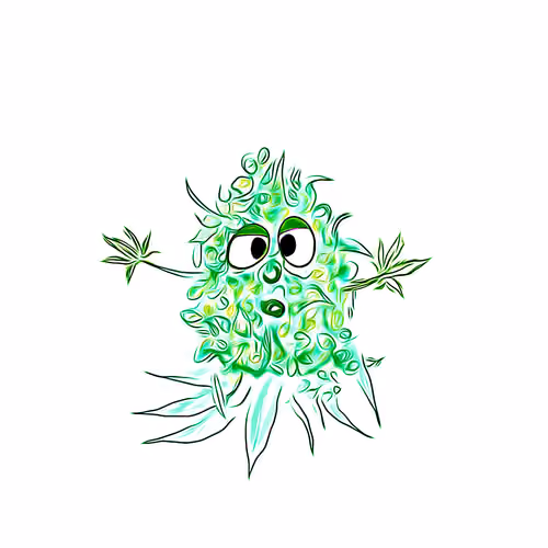Bud is Here