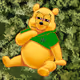 Burnt Pooh's