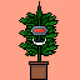 BudBuddyNFT