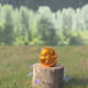Buddha#4 - old