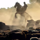 buffalo bath - old