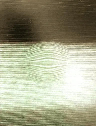 Bug in my life - old