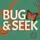 Bug & Seek: Finders Keepers
