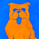 Bulldog Loves