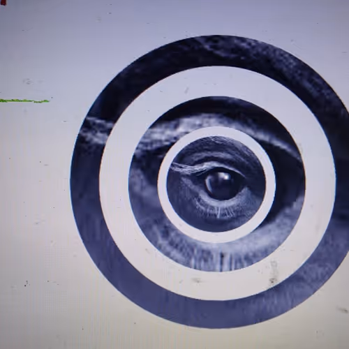 Bulls da eye