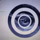Bulls da eye