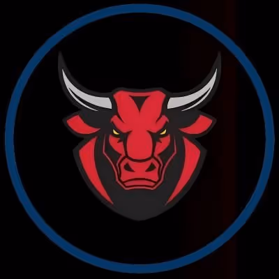 Bullz