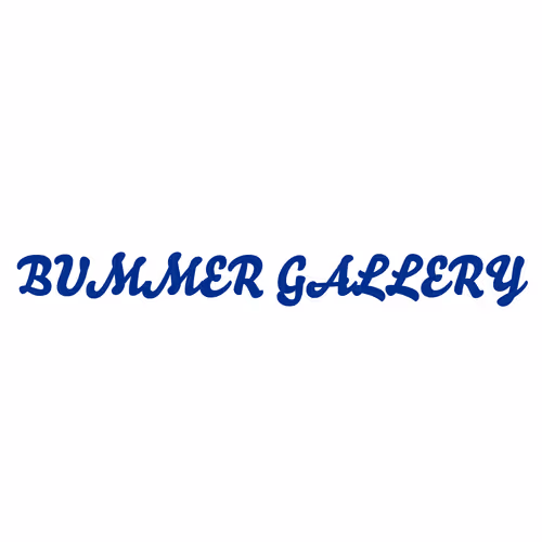 Bummer Gallery Collection
