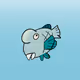 Bumphead #