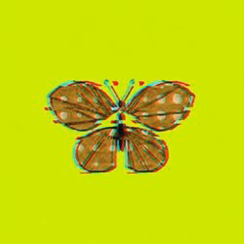 Papillon Hood