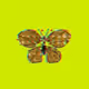 Papillon Hood
