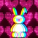 bunny dreams