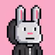 Bunny Warriors