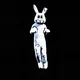 Bunny Man Project
