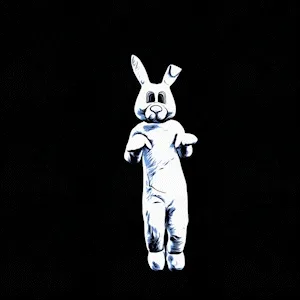 Bunny Man Project
