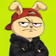 BunnyWtf
