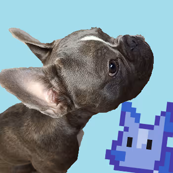 Bunoit the French Bulldog