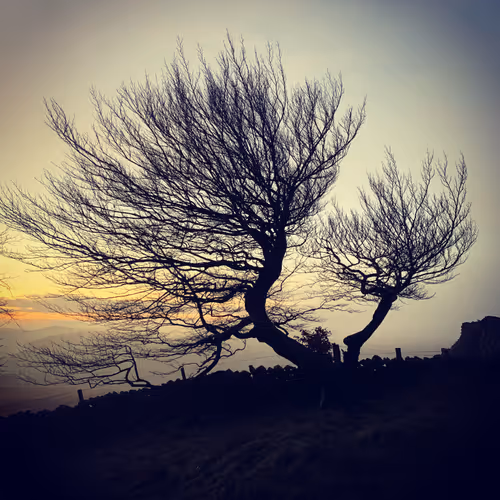 Burbage