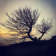 Burbage