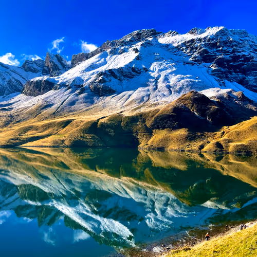 Burnasso Manifold Mints