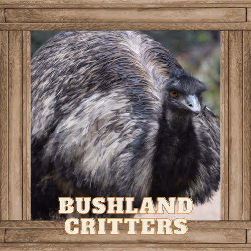 Bushland Critters