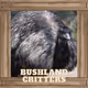 Bushland Critters