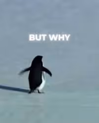 Item Media Placeholder