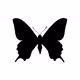 Butterflies No.1