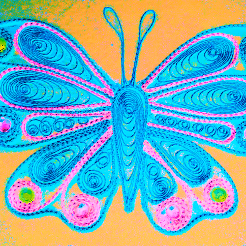 Butterfly 2022 - old