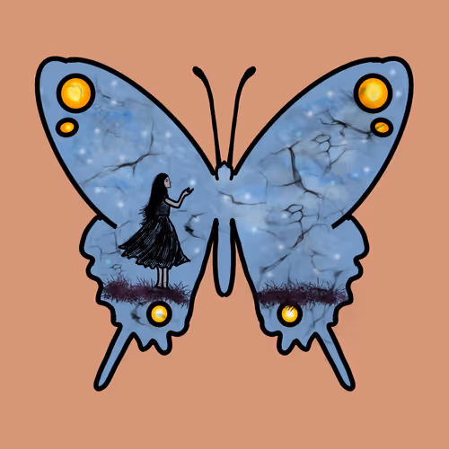 Butterfly_collection.