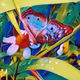 Butterfly Gardens - old - old - old