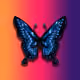 butterfly mandalas