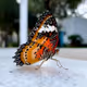 Butterfly V2
