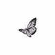 butterfly-wings