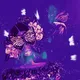 butterflylove - old