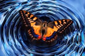 Butterfree on a flower - old