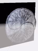 Buy_Sell_Collectibles - old