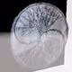 Buy_Sell_Collectibles - old
