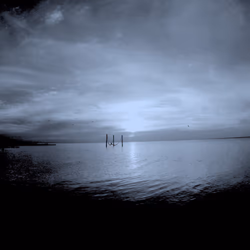 Black & White BCS - old