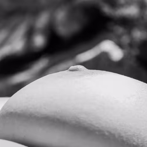 BW Erotica