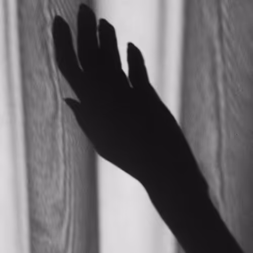 black and white fragments