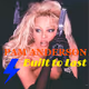 Pam Anderson Racing Co.