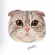 C Cats