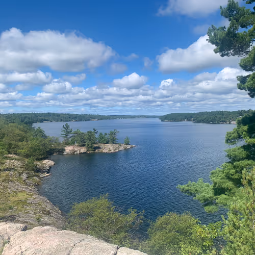 c-h-r-i-s Collection