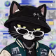 Cache Cat