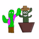 Cacti by RENOV