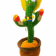 Cacto Dancing