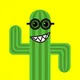 Cactus Company