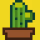 Cactus Philosophy