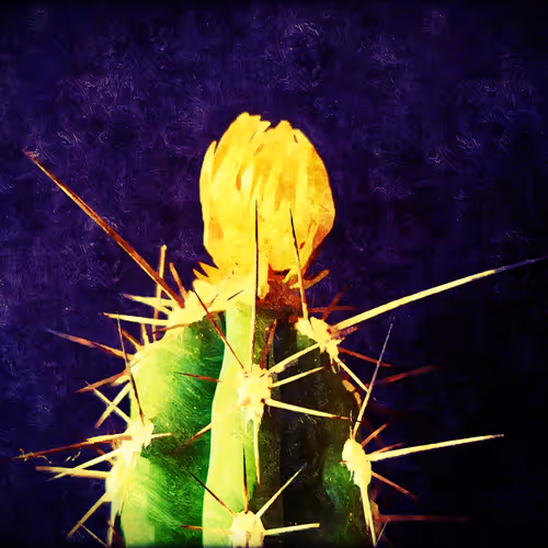CacTus Crew
